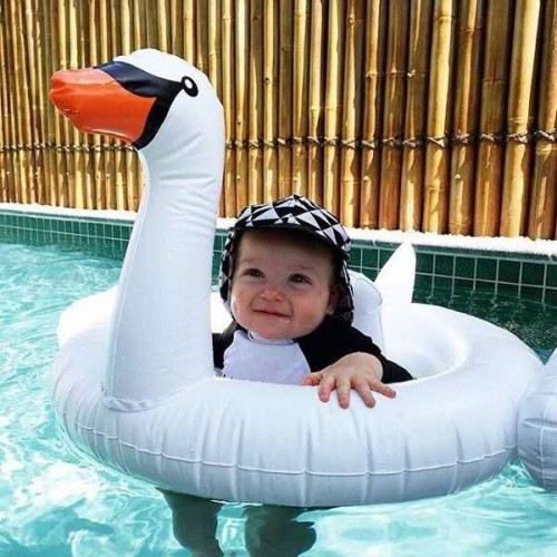 bouée bébé cygne tahiti fenua shopping bouée bébé cygne tahiti fenua shopping