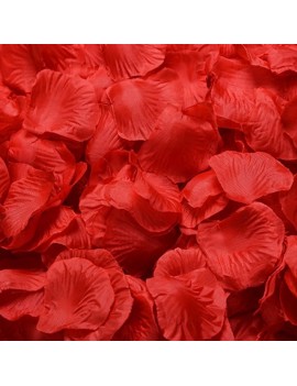 pétales roses rouges red flower deco saint valentin amour love tahiti fenua shopping