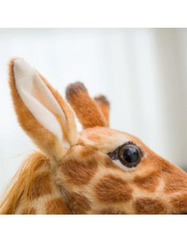 peluche girafe xxl giraffe plush coussin pillow kids enfant large deco room tahiti fenua shopping