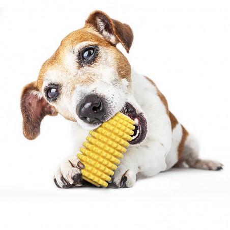 jouet chien maïs à mâcher mastiquer dog doggy dents chien dentifrice brossage dents de chien tahiti fenua shopping