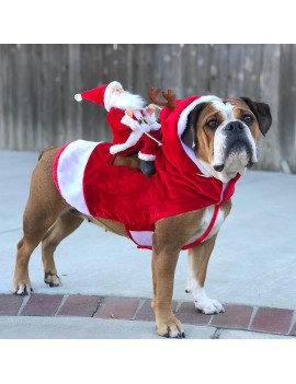 tenue chien noel dog puppy christmas xmas costume déguisement tahiti fenua shopping