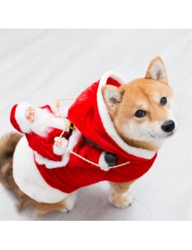 tenue chien noel dog puppy christmas xmas costume déguisement tahiti fenua shopping