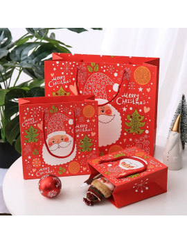 sachet cadeau Santa Claus 20cm gift bag noel christmas tahiti fenua shopping