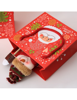 sachet cadeau Santa Claus 20cm gift bag noel christmas tahiti fenua shopping