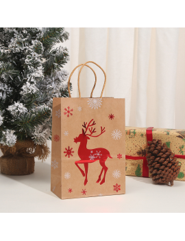 sachet cadeau Noel kraft shinny 27cm gift bag christmas tahiti fenua shopping