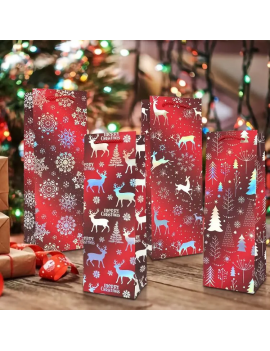 sachet cadeau bouteille shinny red rouge gift bag christmas noel tahiti fenua shopping