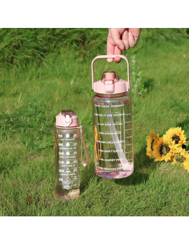 set 2 gourdes sport transparente rose