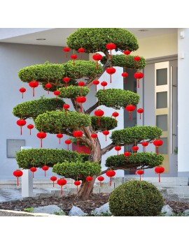 set 16 déco lanternes mini lantern nouvel an chinois decoration chinese new year tahiti fenua shopping