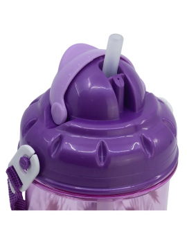 gourde anse Frozen purple 465ml bouteille enfant kids reine des neiges vaisselle licence tahiti fenua shopping