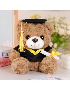 peluche ourson graduation cadeau, sachet diplome remerciement tahiti fenua shopping