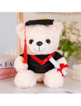 peluche ourson graduation cadeau, sachet diplome remerciement tahiti fenua shopping