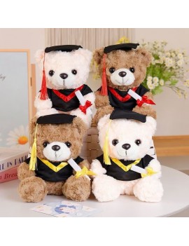 peluche ourson graduation cadeau, sachet diplome remerciement tahiti fenua shopping