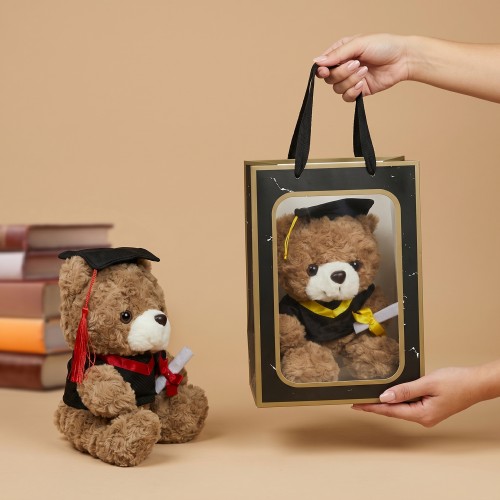 peluche ourson graduation cadeau, sachet diplome remerciement tahiti fenua shopping