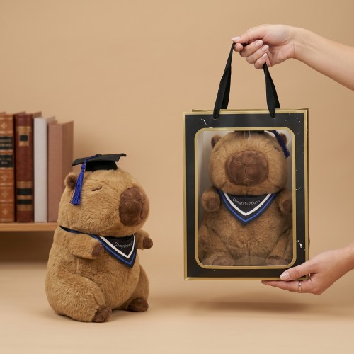 peluche capybara graduation coussin remerciement diplome cadeau tahiti fenua shopping