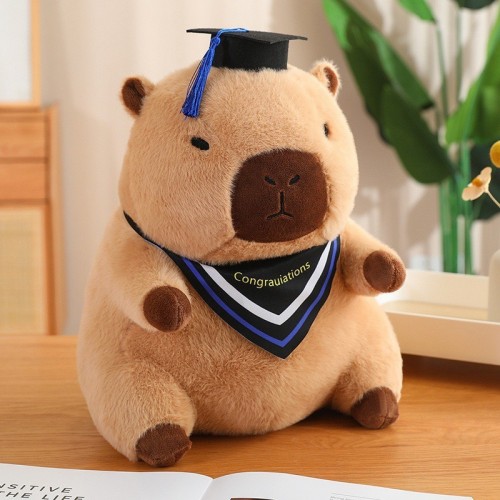 peluche capybara graduation coussin remerciement diplome cadeau tahiti fenua shopping
